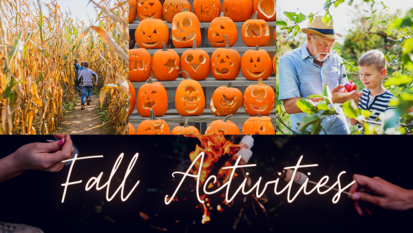Fun fall activity ideas from PH Design & Construction