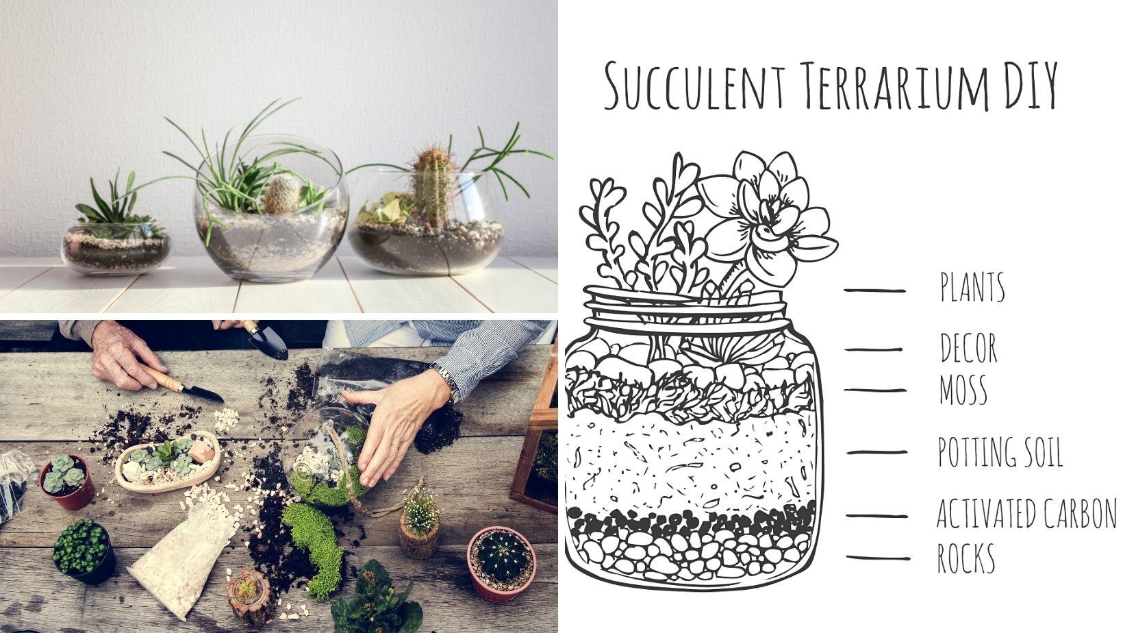Collage of DIY succulent terrariums, compiled by PH Design, home builders specializing in custom home design and construction in Canton, Ohio